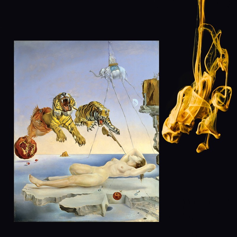 Πίνακας σε καμβά Ssalvador Dali - Dream Caused by the Flight of a Bee around a Pomegranate a Second before Waking
